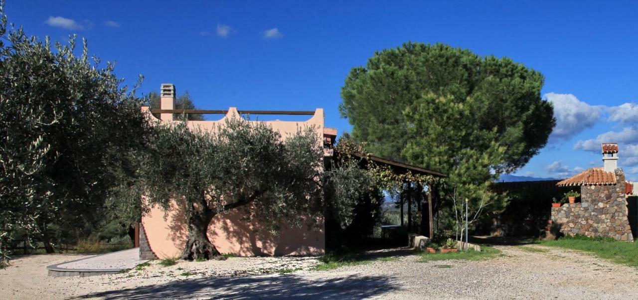 Gasthaus S'Ulumu Dorgali Exterior foto